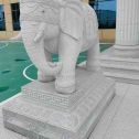 兰州 白麻花岗岩动物异形石雕-大象