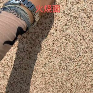 兰州黄金麻火烧面