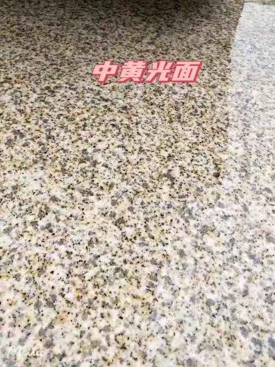 兰州黄金麻中黄光面